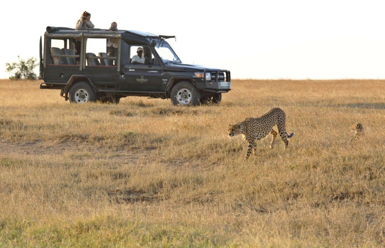 Kicheche Laikipia Camp Villa Ol Pejeta Conservancy Exteriör bild
